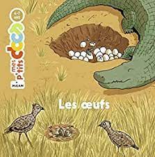 P'tits docs: les oeufs