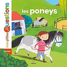P'tites questions: les poneys
