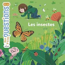 P'tites questions: les insectes