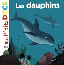 P'tits docs: les dauphins