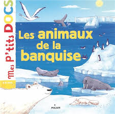 P'tits docs: les animaux de la banquise