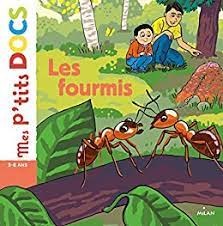 P'tits docs: les fourmis