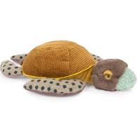 Petite tortue tout autour du monde