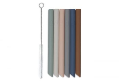 Pailles silicone x6 + goupillon