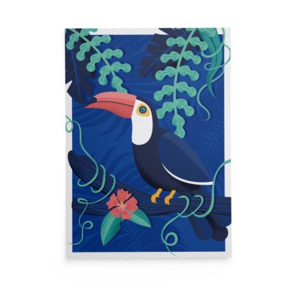 Carte toucan