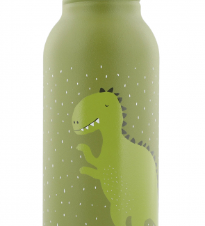 Gourde métal 500ml: Monsieur Dino