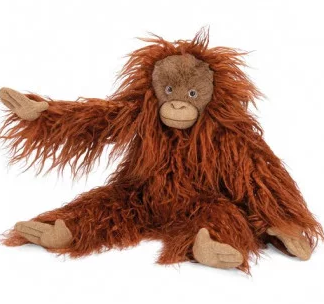 Orang-outan Autour du monde Petit