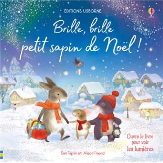 Brille, brille petit sapin de noël !
