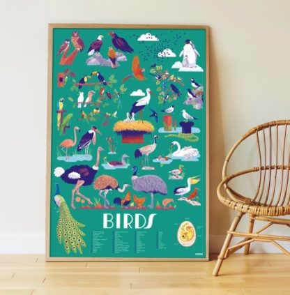 Poppik: Les oiseaux – Image 2