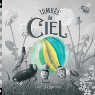 Tombée du ciel