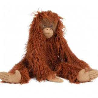 Orang-outan Autour du monde Grand