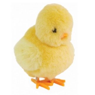 Poussins sauteurs