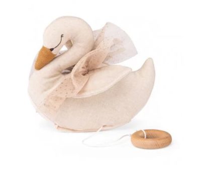 Cygne musical la petite école de danse