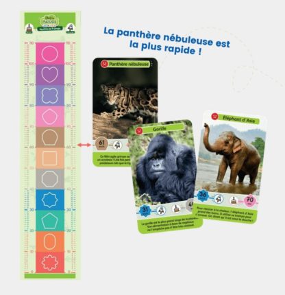 Défis nature Junior: Mystères de la jungle – Image 2