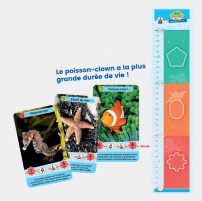 Défis nature Junior: Merveilles de la mer – Image 2