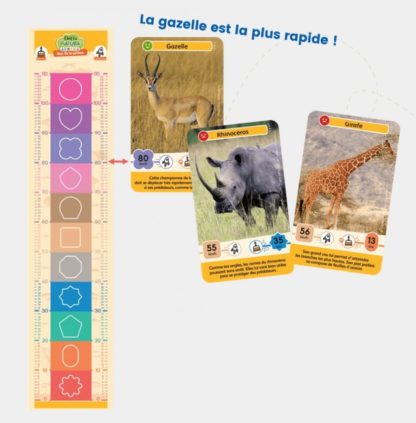 Défis nature Junior: Rois de la savane – Image 2