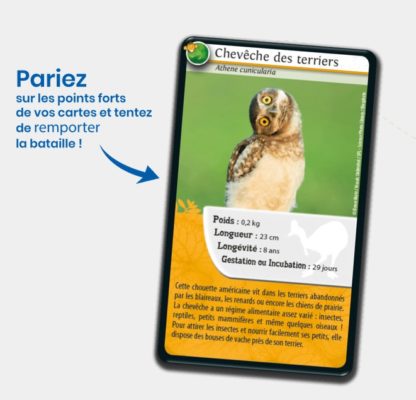 Défis nature: Animaux rigolos – Image 2