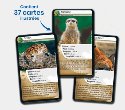 Défis nature: Carnivores – Image 2
