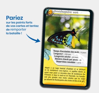 Défis nature: Insectes – Image 2