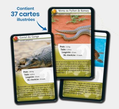 Défis nature: Reptiles – Image 2