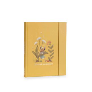 Livre de naissance trois petits lapins
