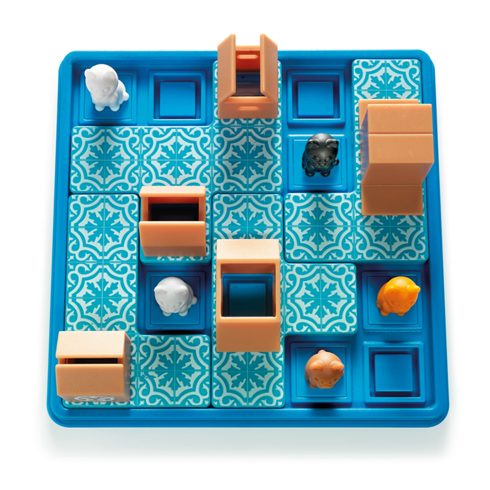 Les chats tournent en rond – Image 2