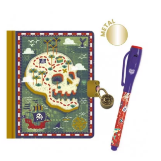 Carnet secret Steve + crayon magique
