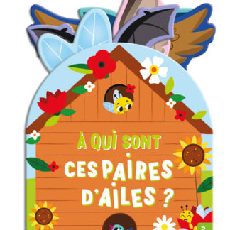 A qui sont ces paires d'ailes ?