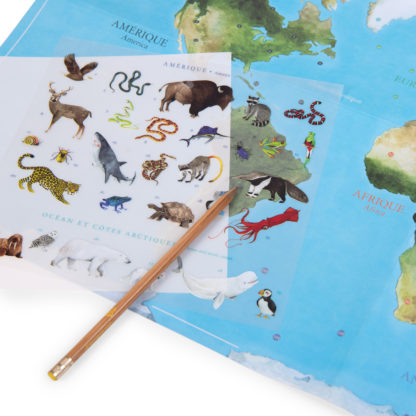 Mappemonde avec décalcomanies – Image 2