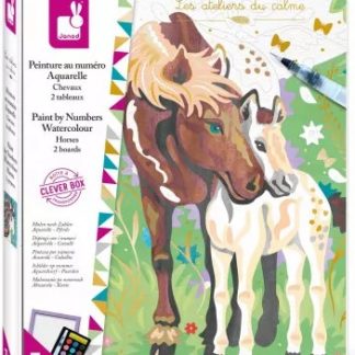 Peinture au numéro aquarelle chevaux
