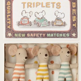 Triplés bébés souris dans la boîte