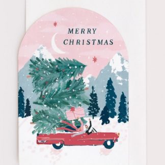 Carte noël au volant