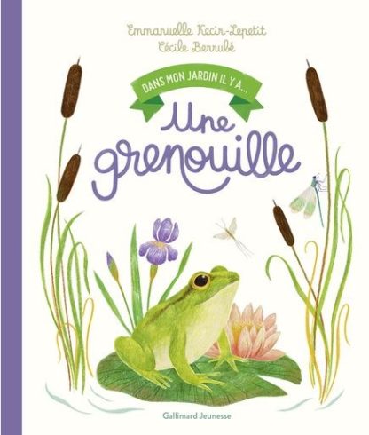 Dans mon jardin il y a une grenouille