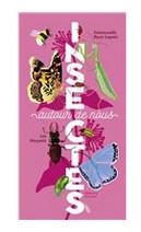Insectes autour de nous