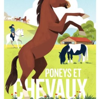 Un super livre à pop-up: Poneys et chevaux