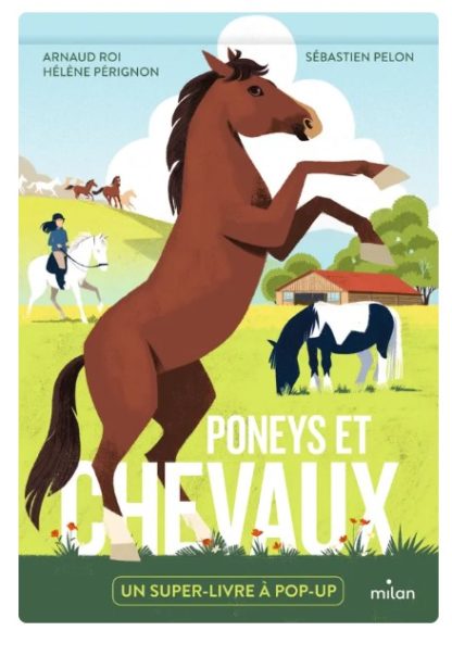 Un super livre à pop-up: Poneys et chevaux