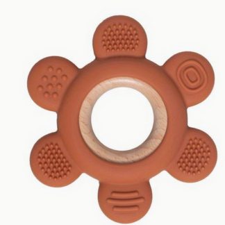 Anneau dentition terracotta