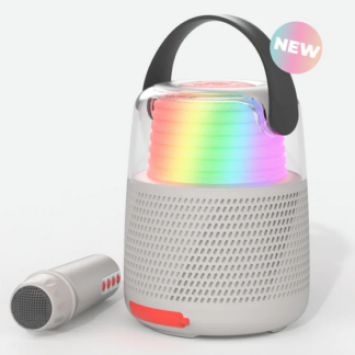 Enceinte Karaoké Gris