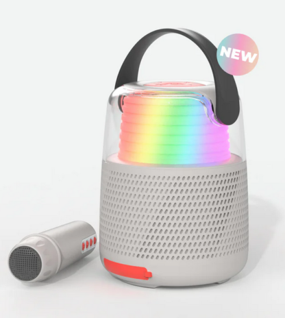 Enceinte Karaoké Gris