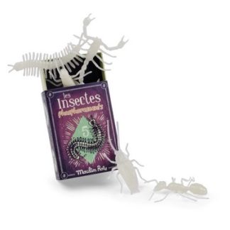 Les insectes phosphorescents