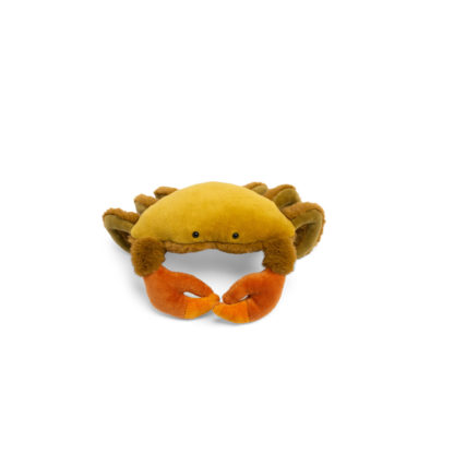 Petit crabe tout autour du monde