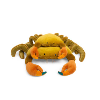 Grand crabe tout autour du monde
