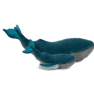 Grande Baleine tout autour du monde