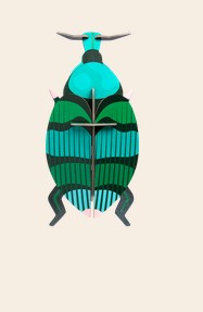 Art mural: Weevil Beetle