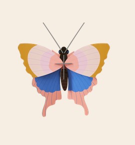 Art mural: Gold Rim Butterfly
