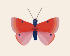 Art mural: Speckled Copper Butterfly