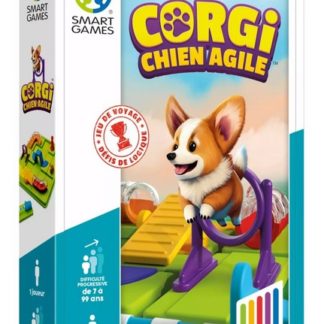 Corgi, chien agile