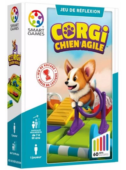 Corgi, chien agile