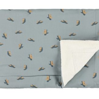 Couverture Pingouins