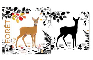 Foret noir et blanc / couleurs